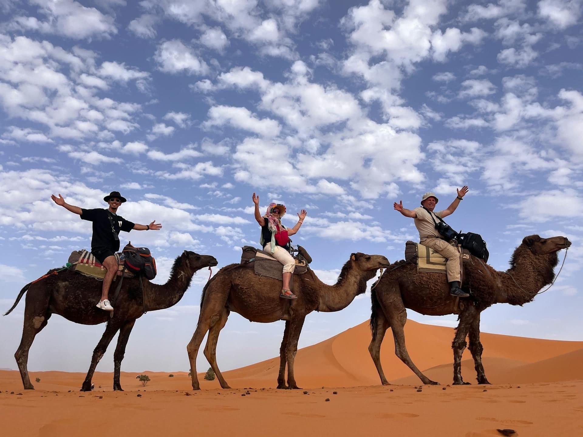 Group photo with camels in desert